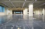 kingwhale-06.jpg