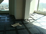 1103-tlp-15.JPG