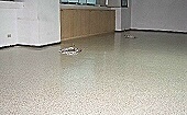 Actile Anti-Static Vinyl Tile